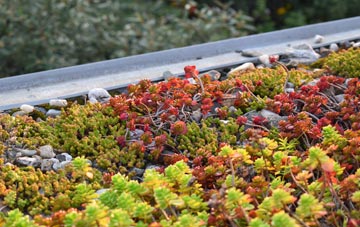 the cost of Tattenhoe green roof installation