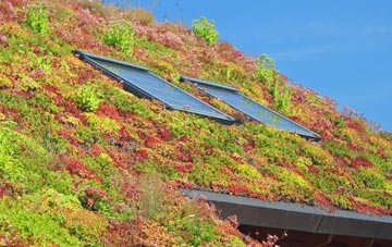 Tattenhoe living roof systems