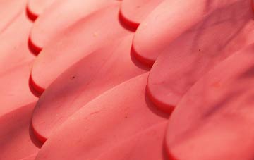 Tattenhoe plastic roof costs