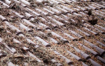 Tattenhoe roof cleaning companies